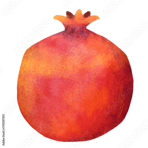 Pomegranate fruits. Botanical illustration. White background