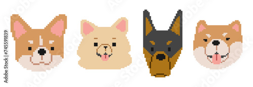Fototapeta Naklejka Na Ścianę i Meble -  Dog Heads Pixel 3 cute on a white background, vector illustration.
