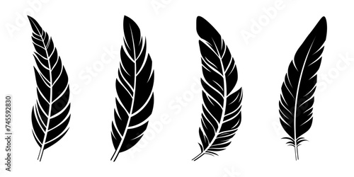 Bird feathers silhouettes collection. Black vector feathers isolated on white background. Vector feathers set.