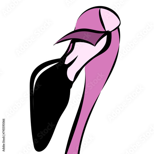 Flamingo
