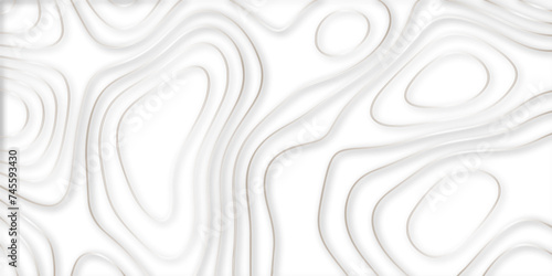 Abstract topographic contours 3d map background .topographic line texture background .monochrome image .stylized height of the topographic map contour in lines. 