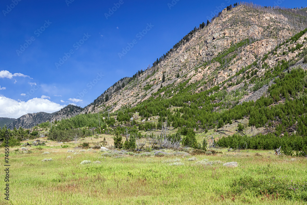 Custer National Forest, mountain, blue-sky, canyon and forest summer landscape Montana, USA. 
