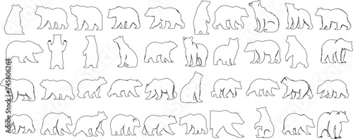 Bear line art, minimalist design, elegant poses