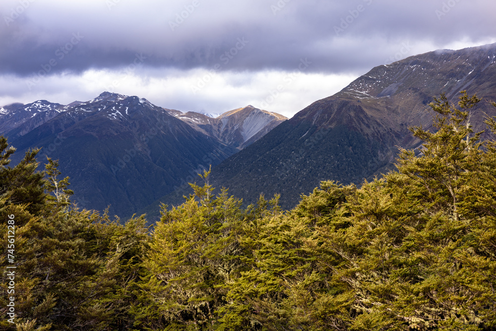 Southern Alps, West Coast, New Zealand Southern Alps, West Coast, New Zealand