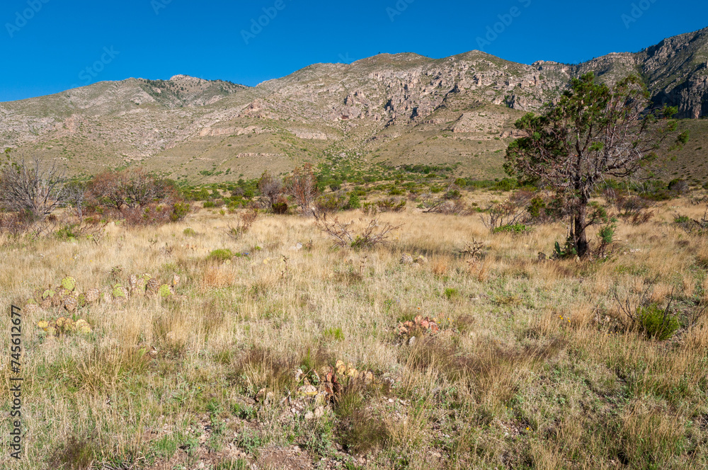 Guadalupe Mountains National Park in Western Texas Guadalupe Mountains National Park in Western Texas
