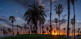 Sunset on Santa Monica beach, panorama of palm tree silhouettes against fiery sky. Los Angeles, California.