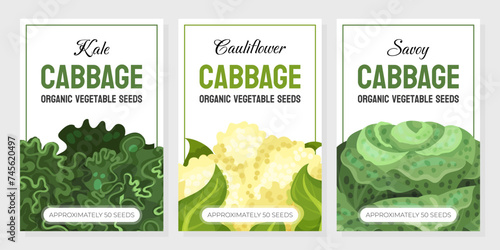 Cabbage Vegetable Banner Design with Crop Vector Template