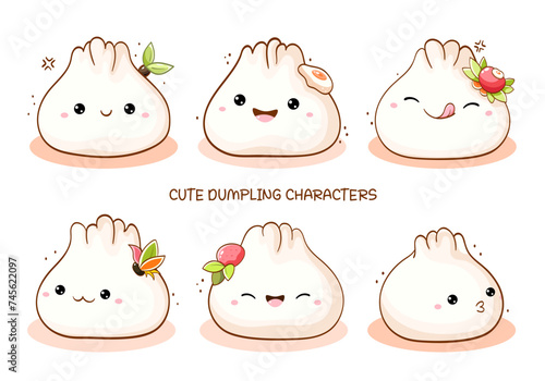 Set of cartoon traditional chinese dumpling. Collection of cute dumpling in kawaii style. Vector illustration EPS8 photo