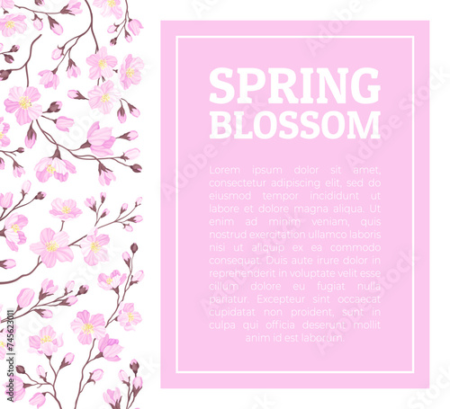 Cherry Blossom Design Banner with Blooming Pink Flower Vector Template