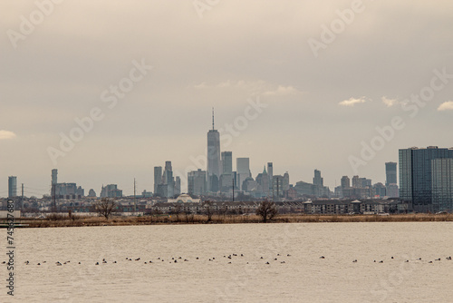 a group of birds in the water at high tide with the city in the background © Wirestock