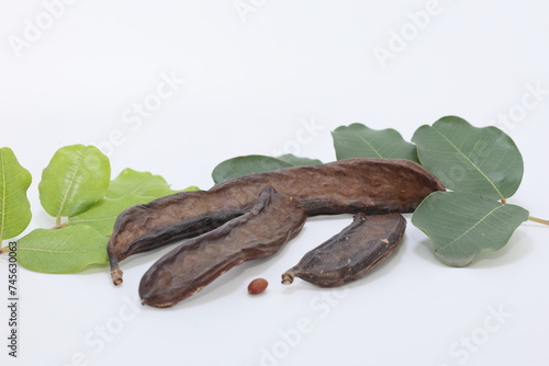 locust beans isolated on white background