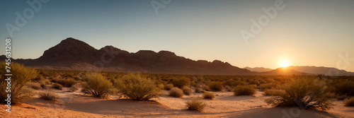 Beautiful panoramic view of the desert at sunset