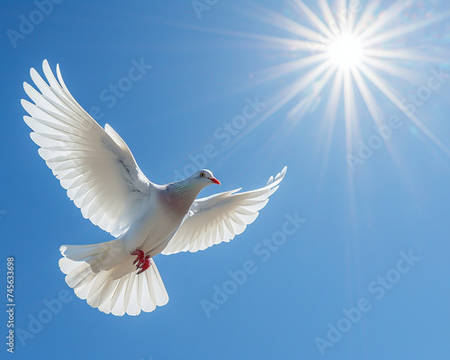 A majestic white pigeon gracefully gliding through the clear blue sky with the sun shining brightly in the background