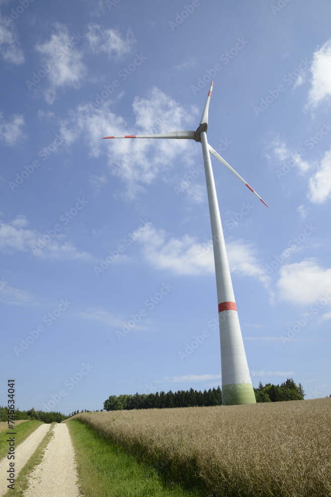 Windkraft, Windrad, abreifendes Rapsfeld Windkraft, Windrad, abreifendes Rapsfeld
