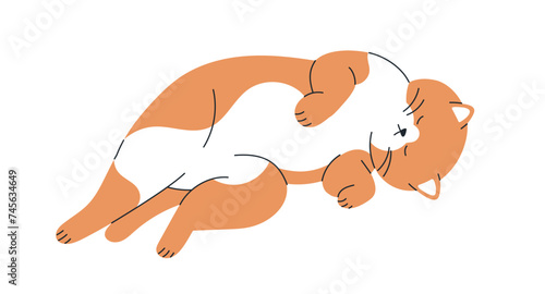 Cute cat sleeping. Funny lazy kitty asleep, dreaming, slumbering. Amusing adorable kawaii kitten pet, feline animal relaxing, resting, reposing. Flat vector illustration isolated on white background