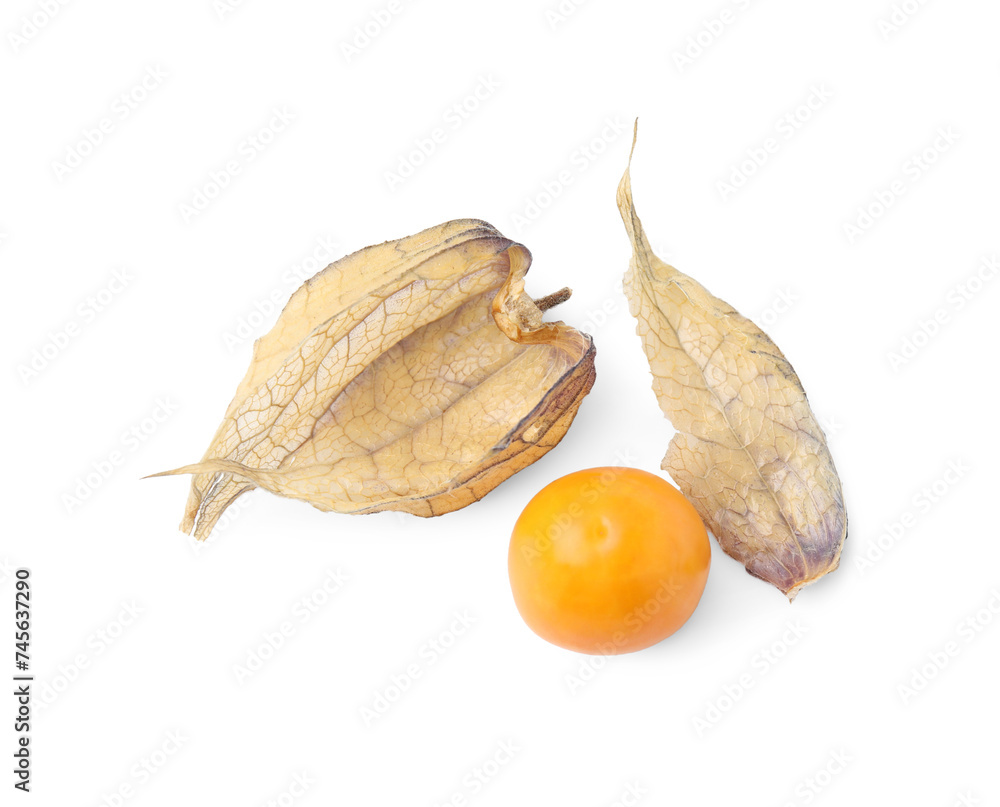 Ripe physalis fruit with calyx isolated on white, top view Ripe physalis fruit with calyx isolated on white, top view