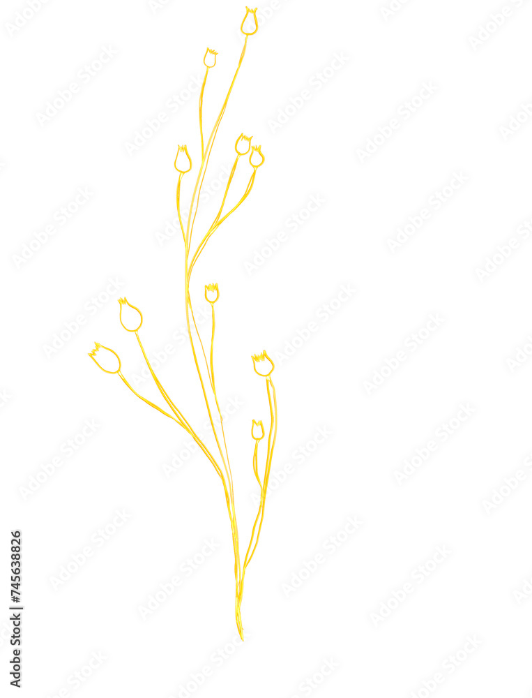 Luxury premium PNG Botanical illustrations leaf flower gold line art transparent background Luxury premium PNG Botanical illustrations leaf flower gold line art transparent background
