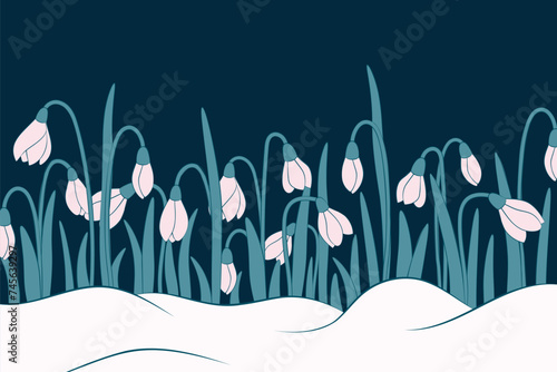 spring meadow with snowdrops