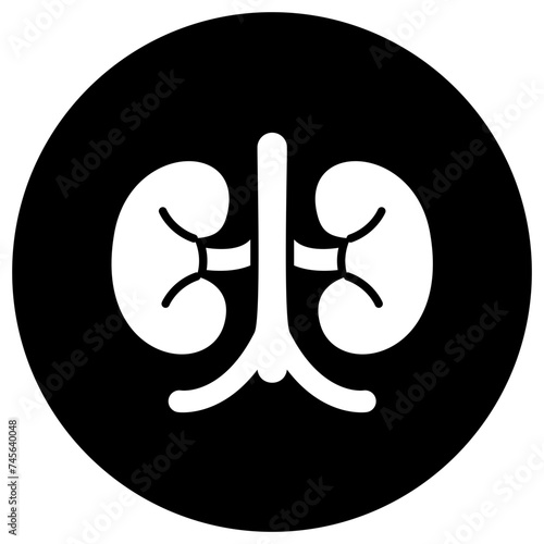 Kidney Vector Icon Design Illustration