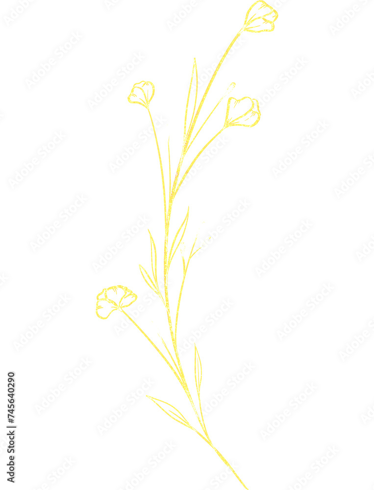 Luxury premium PNG Botanical illustrations leaf flower gold line art transparent background Luxury premium PNG Botanical illustrations leaf flower gold line art transparent background