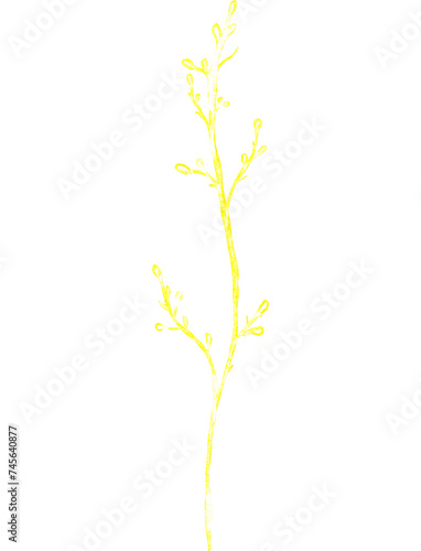 Luxury premium PNG Botanical illustrations leaf flower gold line art transparent background