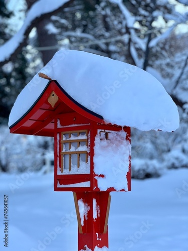 Japanese Lantern in winter