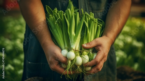 close-up of male hands holding a bunch of leeks, harvesting in a greenhouse Generative AI