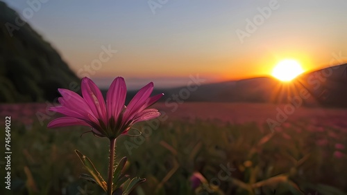 sunrise in the mountains