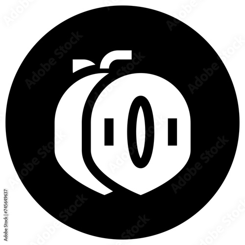 Sapodilla Vector Icon Design Illustration