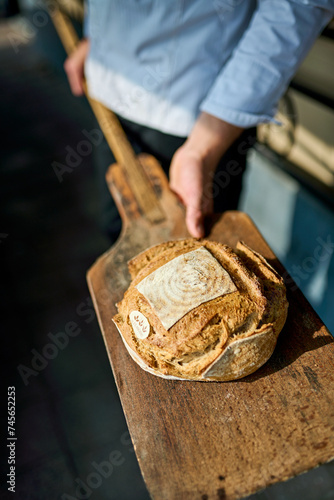 Food gastronomy 