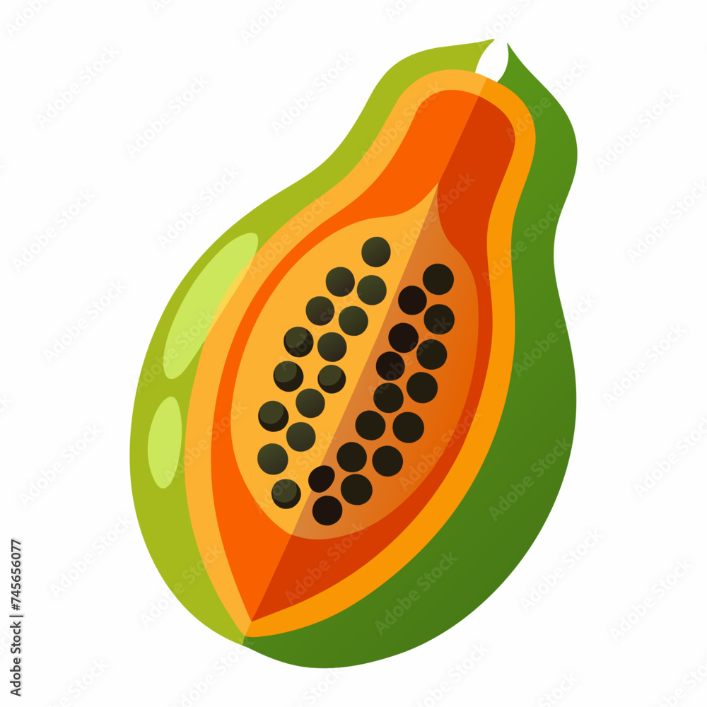 papaya illustration on a white background papaya illustration on a white background
