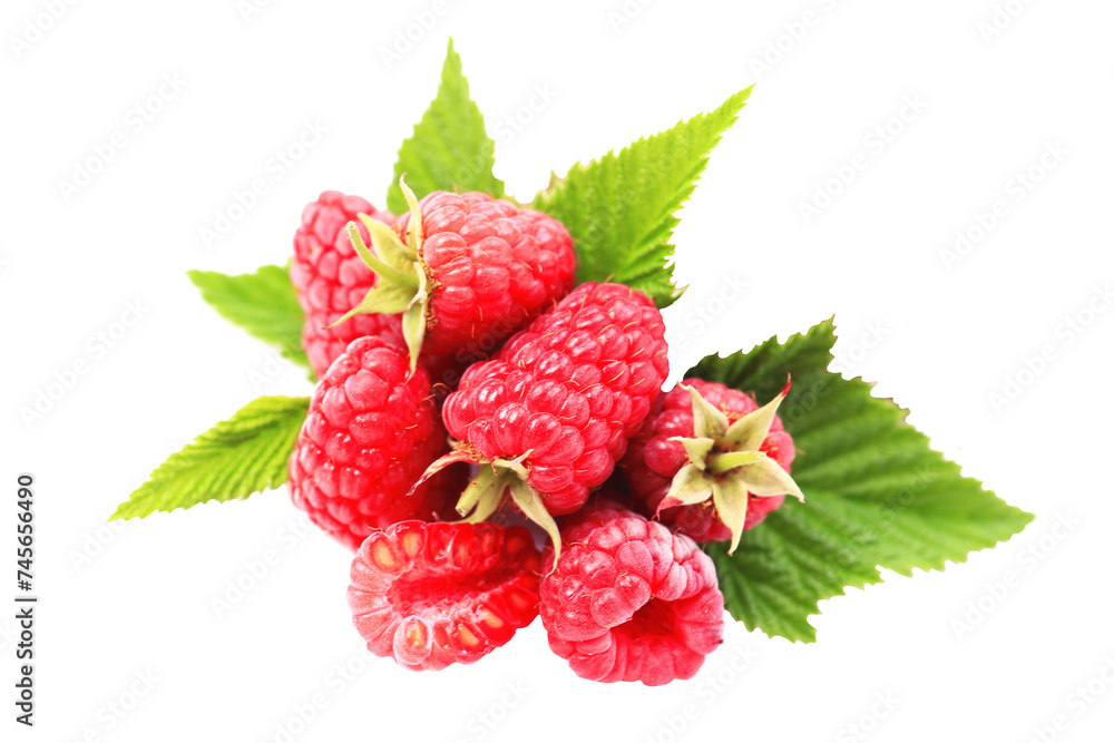 Raspberry with leaves isolated Raspberry with leaves isolated
