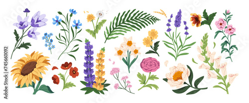 Wildflowers set. Different meadow plants with buds, leaves. Wild flowers: cornflower, daffodil, lupine, peony. Field nature. Botanical decoration. Flat isolated vector illustration on white background #745660092