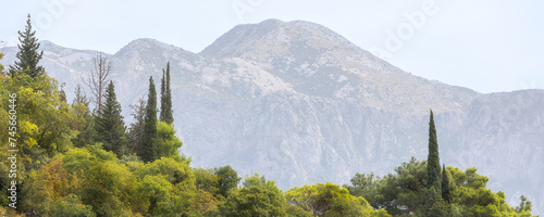 Perast, Montenegro trees and mountains banner