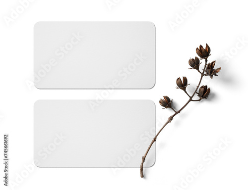 Minimal business card mockup, PNG transparency with shadow
