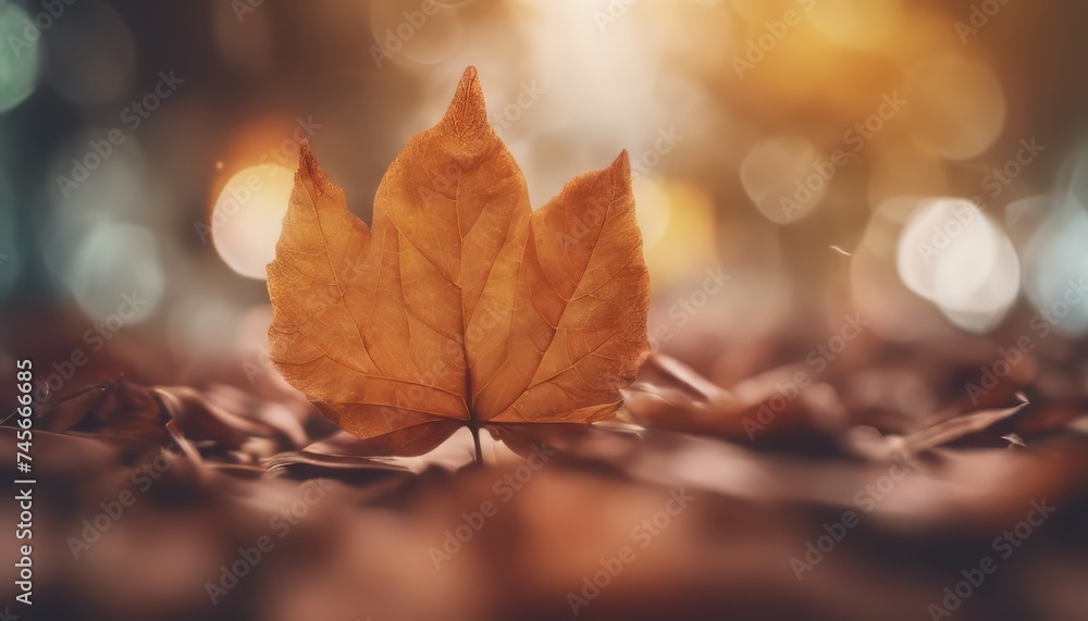 abstract leaf texture background abstract leaf texture background