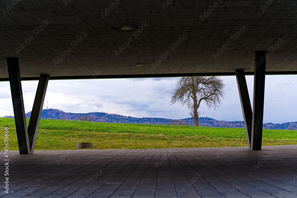 Fototapeta premium Scenic rural landscape with meadow and tree at Hönggerberg at Swiss City of Zürich on a cloudy winter afternoon. Photo taken February 24th, 2024, Zurich, Switzerland.