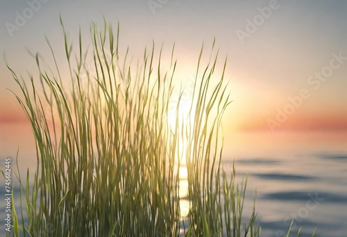 grass on the lake