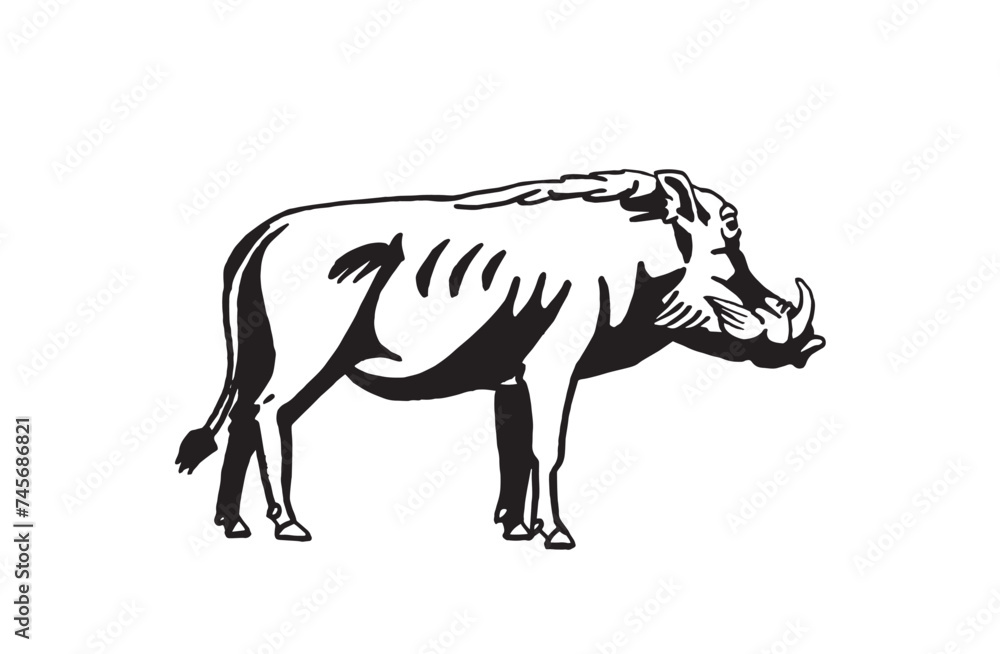 Graphical boar isolated on white background, vector ink pen illustration	