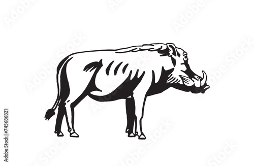 Graphical boar isolated on white background  vector ink pen illustration 