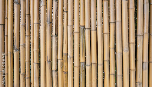 Texture of bamboo fence  wooden pattern background and nature light