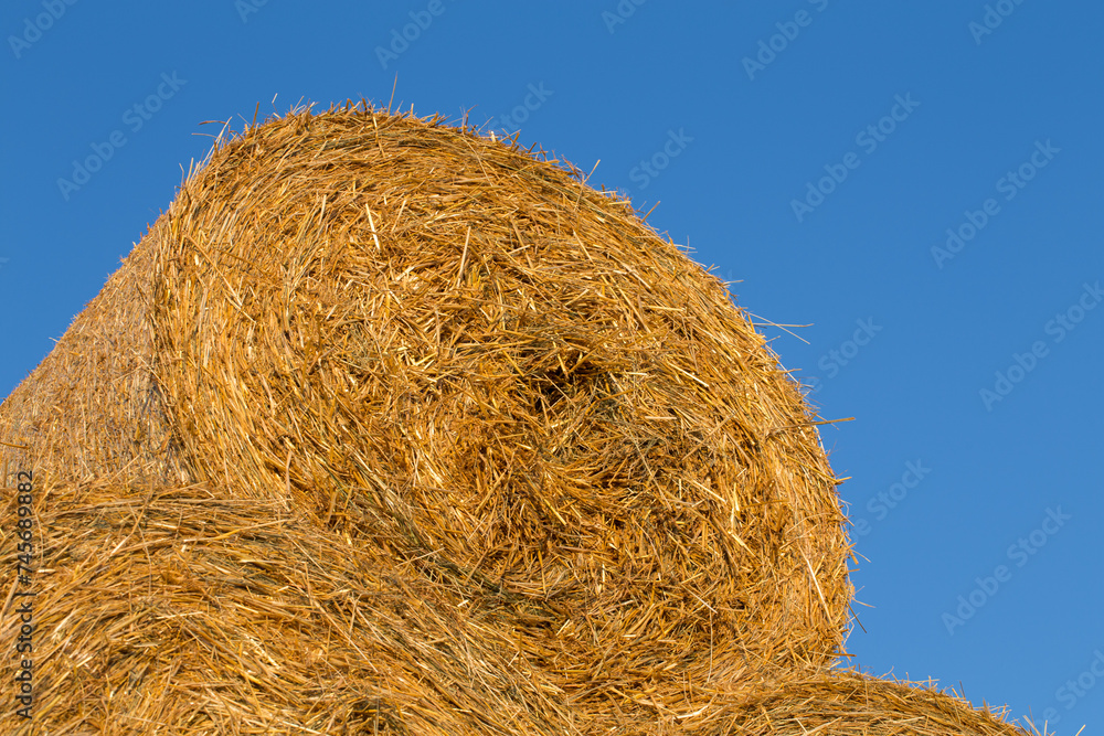 Piled hay bales on a field against blue sky Piled hay bales on a field against blue sky