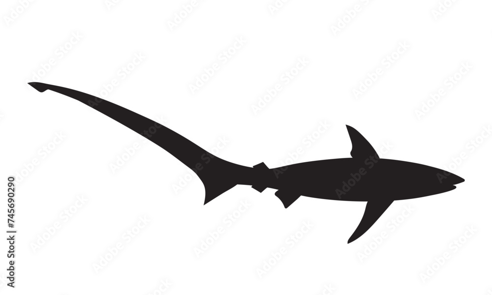 Black silhouette of shark. Vector image. Black silhouette of shark. Vector image.