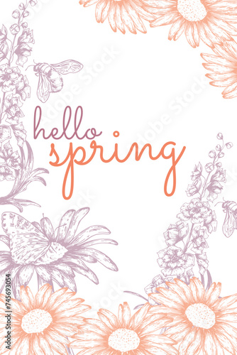 Vector floral illustration  postcard  poster with the inscription hello spring. A botanical postcard on a transparent background with hand-drawn elements.