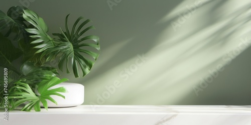 Minimal, modern white marble stone counter table, tropical monstera plant tree in sunlight on green wall background for luxury fresh organic cosmetic, Generative AI