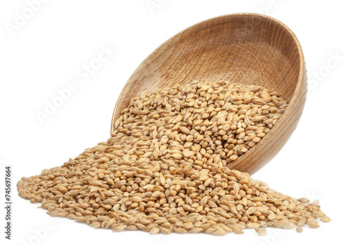 wooden cup of barley isolated on a white background