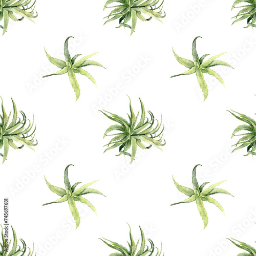 aloe seamless pattern