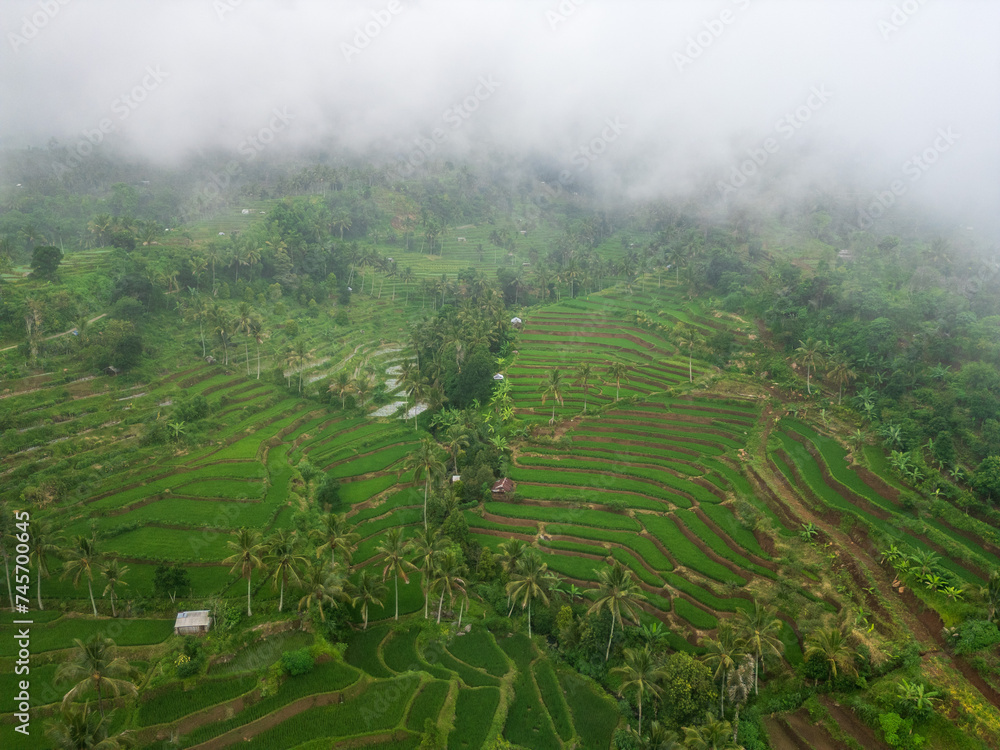Rice terrace aerial scenery