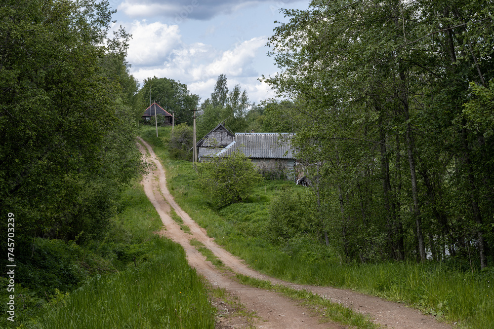 Summer rural landscape. View of the country road at the entrance to the village. Wooden houses among trees and bushes. Village Zaborovye, Novgorod region, Russia.