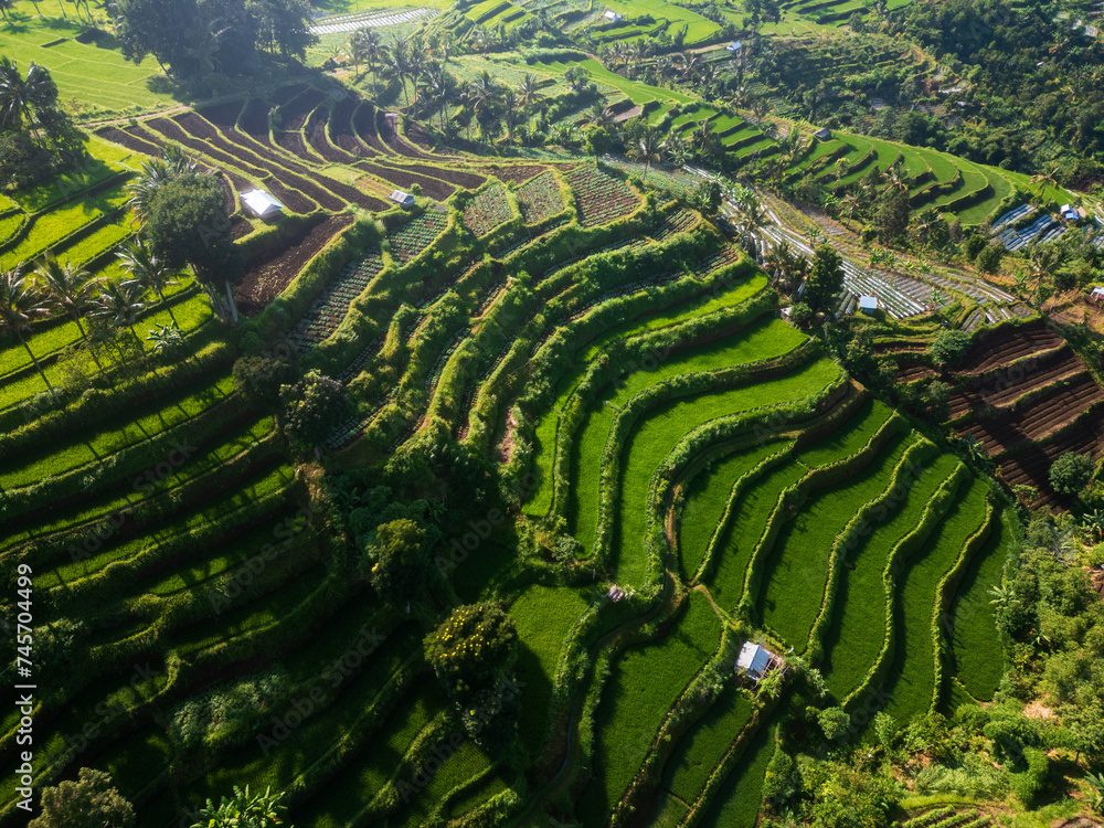 aerial rice terrace secenery aerial rice terrace secenery